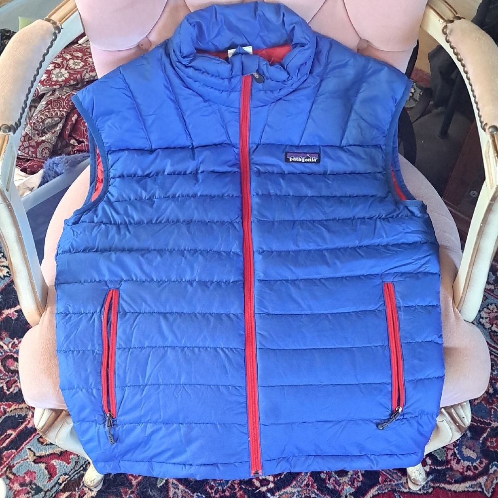 Patagonia Men's Vibrant Blue Vest with Red Accents